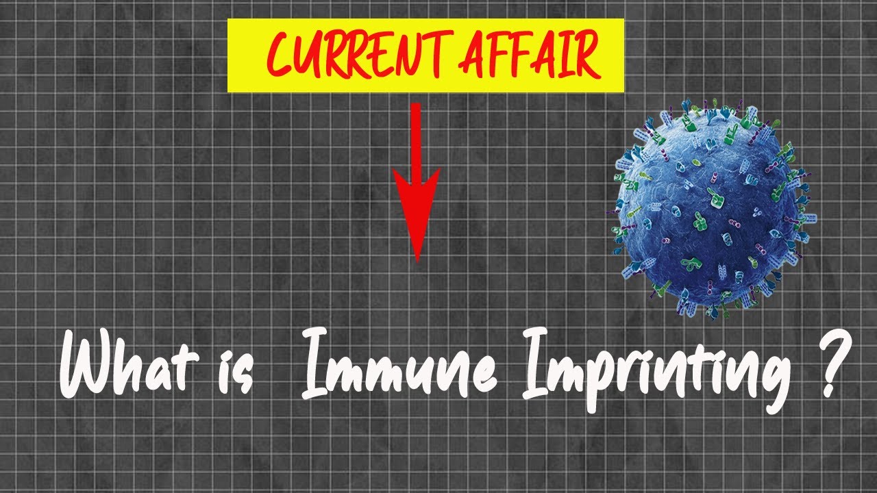 Immune Imprinting || What is Immune Imprinting || Immune Imprinting-Covid 19 