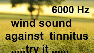10 minutes wind at 6000 Hz as sound therapy for tinnitus