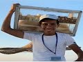 تعرف على القصة الكاملة للطالب إبراهيم عبد الناصر بائع الفريسكا تعرف على القصة الكاملة للطالب إبراهيم عبد الناصر بائع الفريسكا