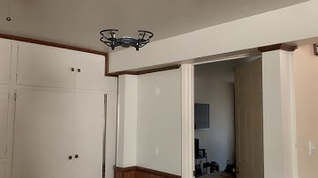 iOS Security Application with DJI Tello drone and Object Detection
