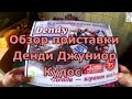 Денди от компании Кудос / Dendy junior kudos