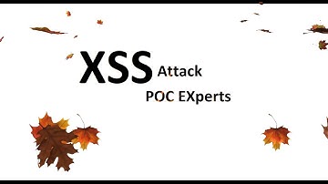 Pega.com Proof Of Concept ( POC ) XSS ATTACK