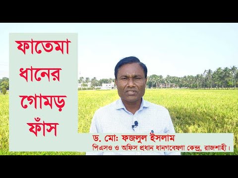 ভিডিও: পিএসই বিক্রয় এসভিসি বিতরণ সহযোগীরা কত উপার্জন করে?