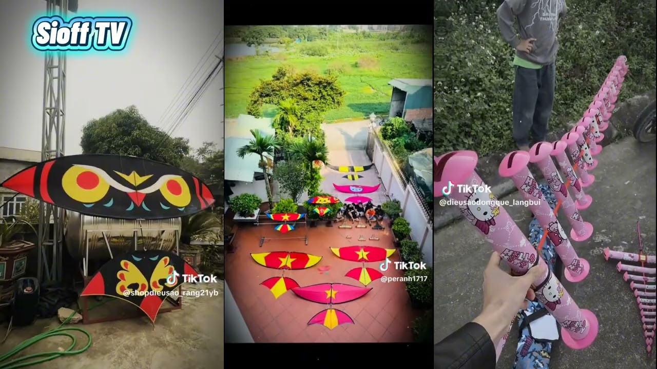 [ Tiktok ] clip diều sáo #19