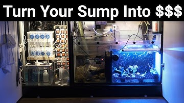 Red Sea Reefer Frag Tank Sump Mod