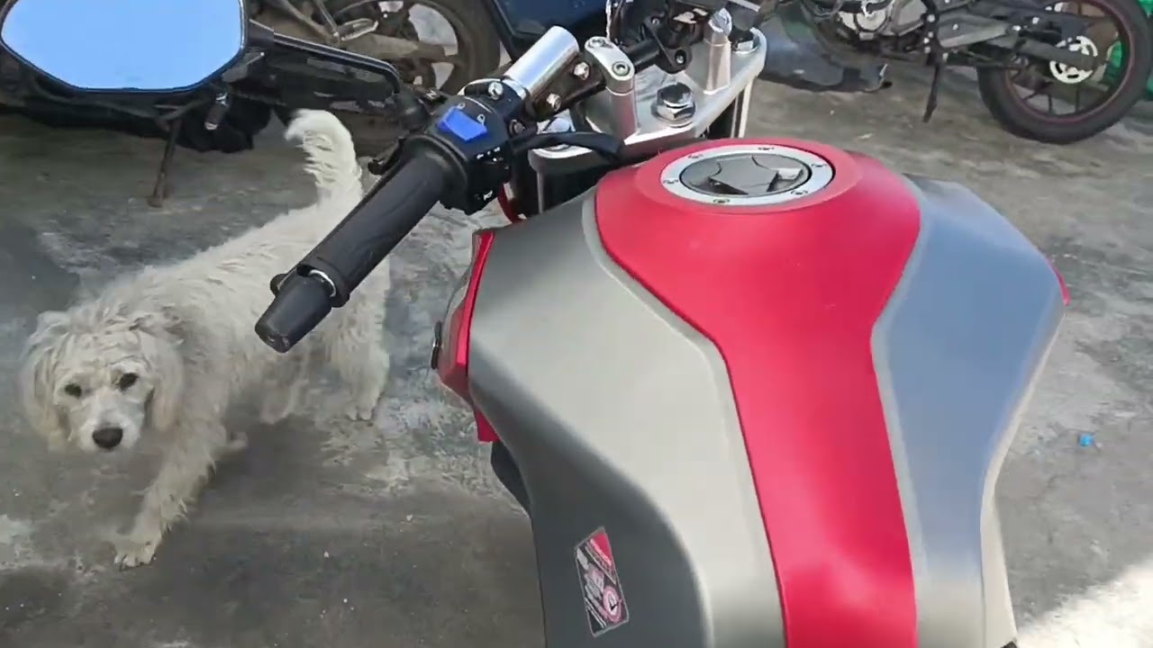 encendido correcto de una moto 