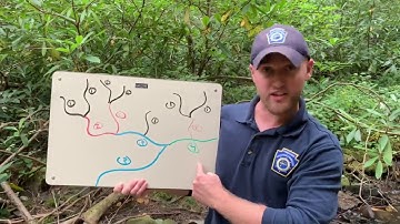 4 - What is Stream Order?