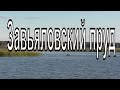 Завьяловский пруд. Новосибирская область. Тогучинский район. Село Завьялово.