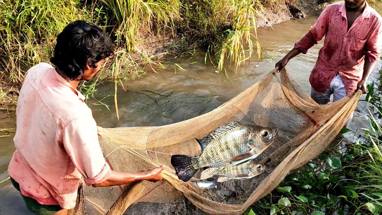 Fish Hunting Indian Village Pople Catching Fishe Big Fish Hunting