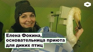 «Мата-мата» — один из крупнейших в России приют для диких птиц | ROMB