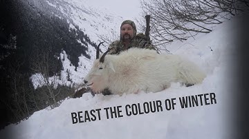 Beast the colour of winter, a british columbia coastal mountain goat adventure