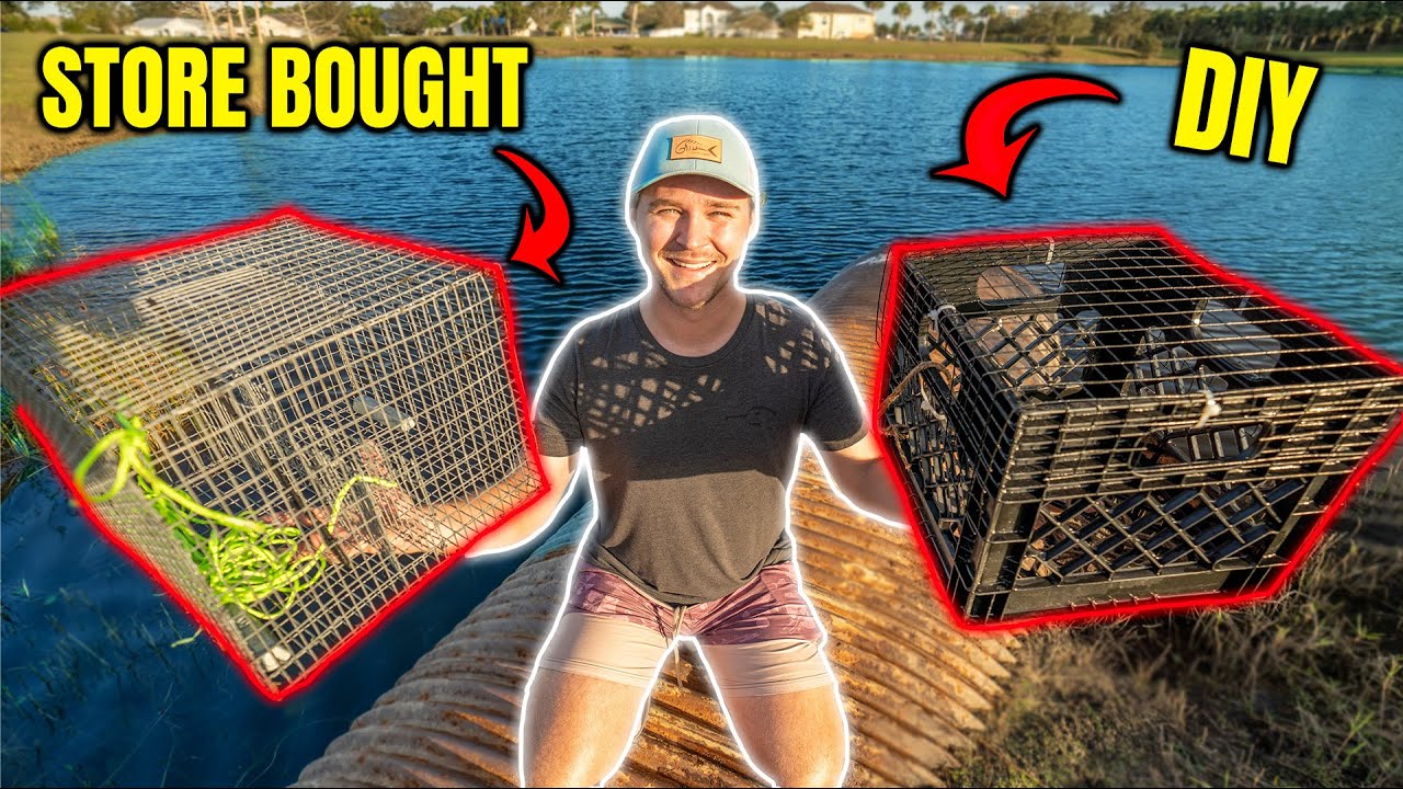 DIY vs Store Bought FISH TRAP!!! (Homemade Fish Trap) YouTube