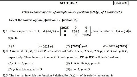 class 12 maths| 2025 new sample paper| sectionA(1-10)| full detailed solution|MCQ|in english