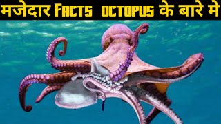 Octopus Ke Bare Mein Interesting Facts About Octopus In Hindi Knowledge