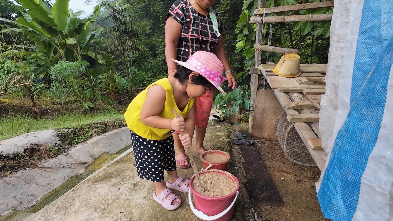 SEEKOR ANAK BABI RM500 // BABY SIKA IKUT NENEK KE KANDANG BABI // RUTIN HARIAN DI RUMAH PANJANG //