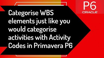 Categorise WBS elements same way you use Activity Codes for activities in Primavera P6