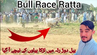 Bull Race Ratta || Dadyal || Azad kashmir || Beautifull view