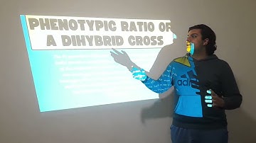 Multi-trait inheritance