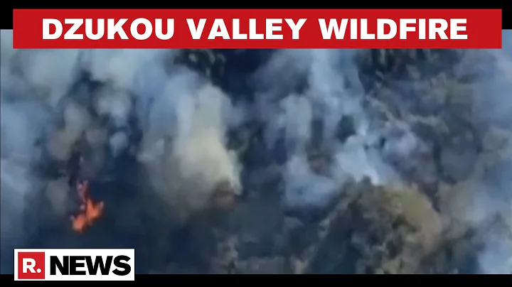 Dzukou Valley Fire: 7 NDRF Teams Deployed At Site To Douse Flames, IAF Joins Operation