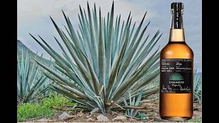 Casamigos Anejo Tequila - süpriz tekila incelemesi!