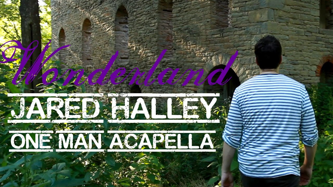 Taylor Swift - Wonderland - (Jared Halley - One Man Acapella)