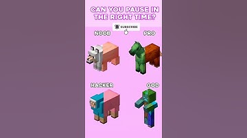 Minecraft Noob pro Hacker Impossible Challenge You Can Pause In the Time #impossible #minecraft