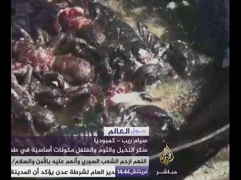 حول العالم .. تناول الحشرات تقليد كمبودي منذ القدم