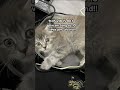 This vid is 00.1 long