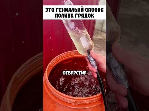 Эта дачная хитрость сохранит ваше здоровье👍👍 #сад #огород #дача