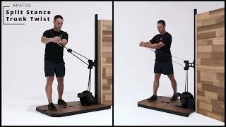 Split Stance Trunk Twist