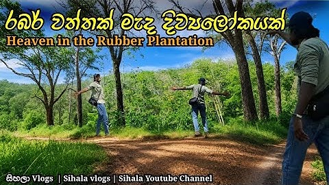 ලංකාවේ ලස්සනම රබර් වත්තක් | Amazingly beautiful rubber plantation | Sihala Vlogs | සිහලා Vlogs