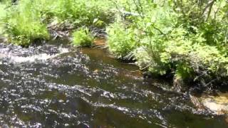 Rivière Quévillon 4