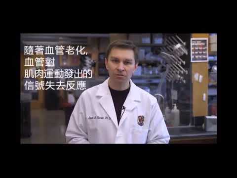 哈佛大學Dr. David Sinclair研究白藜蘆醇及NMN啟動長壽基因