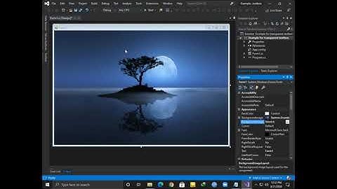 How to create a transparent textBox in c#