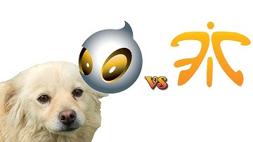 Dog predicts results in CS:GO, Fnatic-Dignitas, 19-05-2014