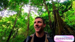 Surviving a Giant Python Attack in the Jungle – Real Life Survival Challenge! Wealth