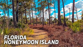 Relaxing Nature Sounds. Florida Osprey Trail Honeymoon Island 4K HDR screenshot 5