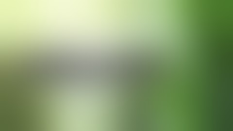 VOLVOX ( ASEXUAL REPRODUCTION) https://youtube.com/channel/UCWvnevjNdxb1ouXP_nGxWMQ