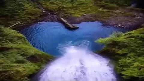 سورة آل عمران بصوت شبيه القارئ اسلام صبحي