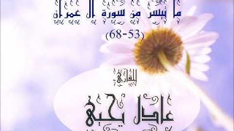 ماتيسر من سورة آل عمران للقاريء عادل يحيى (53-68)