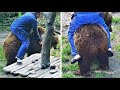 Мансур 🟤 Daddy rides the bear! 😃🤎