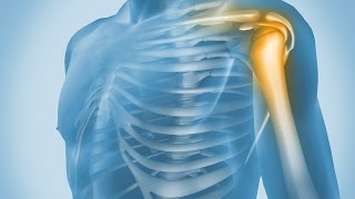 St Mary's BSc Sport Rehabilitation Undergraduate Programme