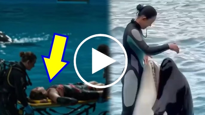 Jessica Radcliffe Video | Jessica Radcliffe and Orca Attack | Jessica Radcliffe Orca Attack ?