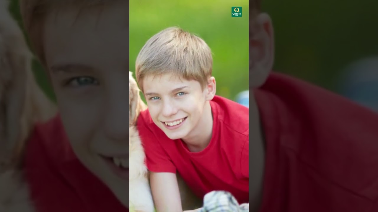 Incredible amenities that await you at Quality Inn Kenly 