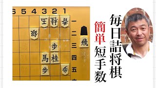 【匿名配送】将棋の完全独習 匿名配送】将棋の完全独習 - メルカリ