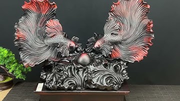 BÁO GIÁ RẺ cặp cá xiêm đôi gỗ trắc việt cực nghệ thuật | zalo 0389889968