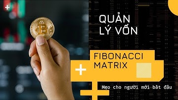QUẢN LÝ VỐN FIBONACCI MATRIX | OCEAN PALACE | QUẢN LÝ VỐN THÔNG MINH |