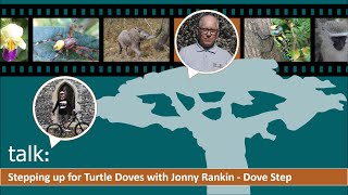 talk: Stepping up for Turtle Doves with Dove Step