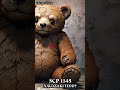 SCP 1145 - Con Gấu Bông Phóng Xạ Muốn Săn Lùng Bạn