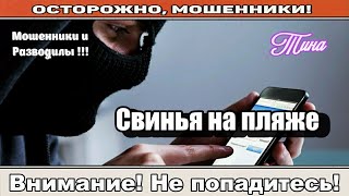 :     /   (  ).